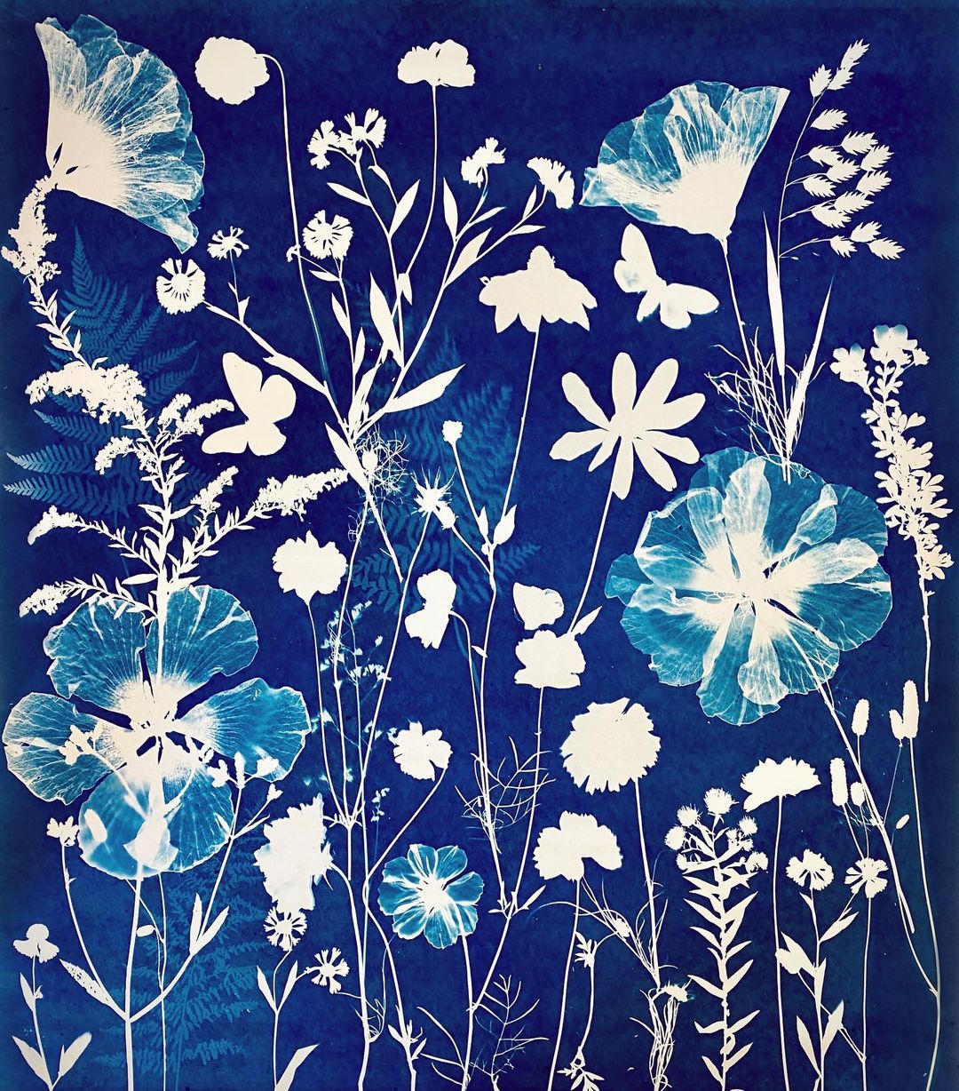 Cyanotype Watercolor and Gouache Strathmore Artist Papers